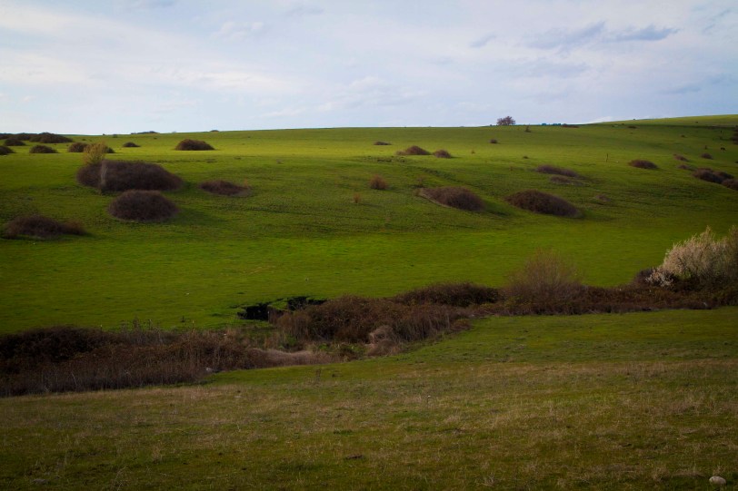 366b - driving to the airport